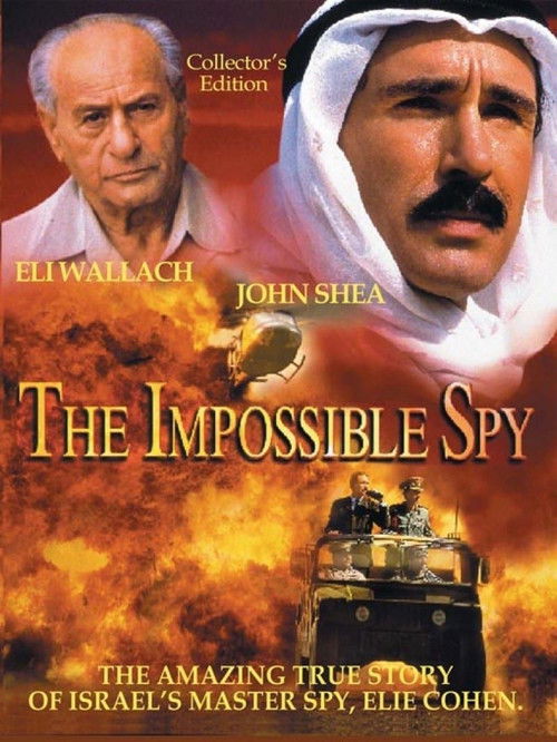 The Impossible Spy постер