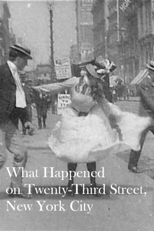 What Happened on Twenty-Third Street, New York City постер