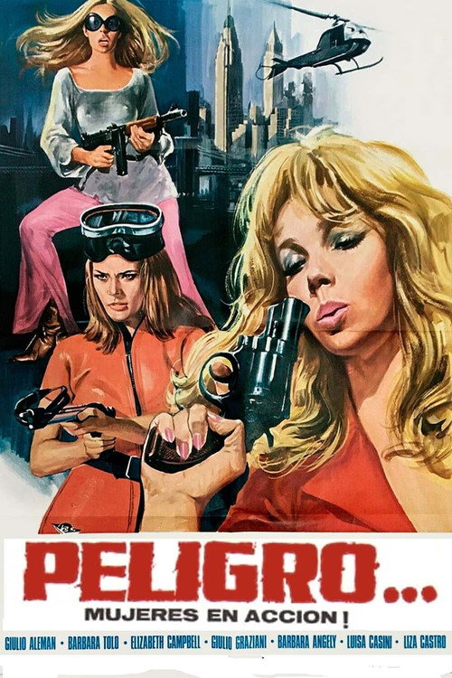 Danger...! Women in Action постер