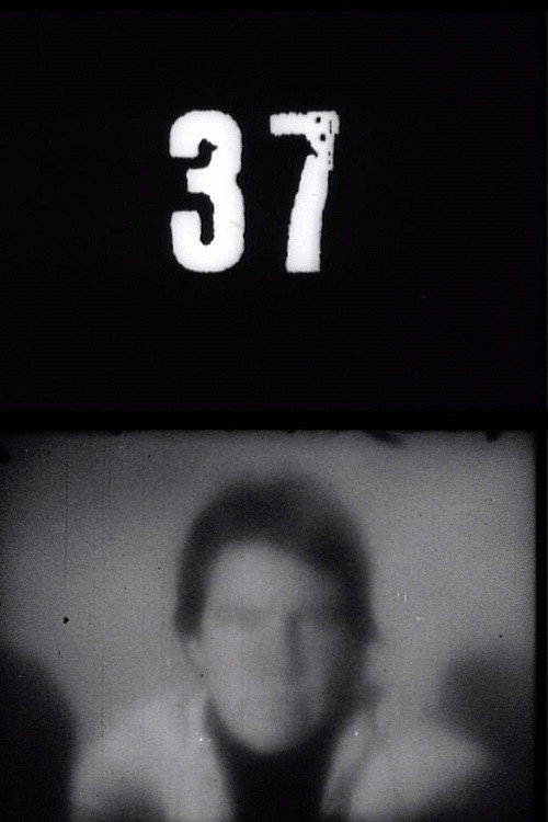 Fluxfilm No. 37 постер