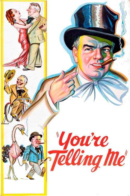 You're Telling Me! постер