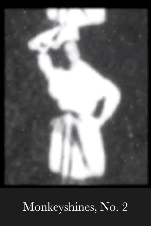 Monkeyshines, No. 2 постер