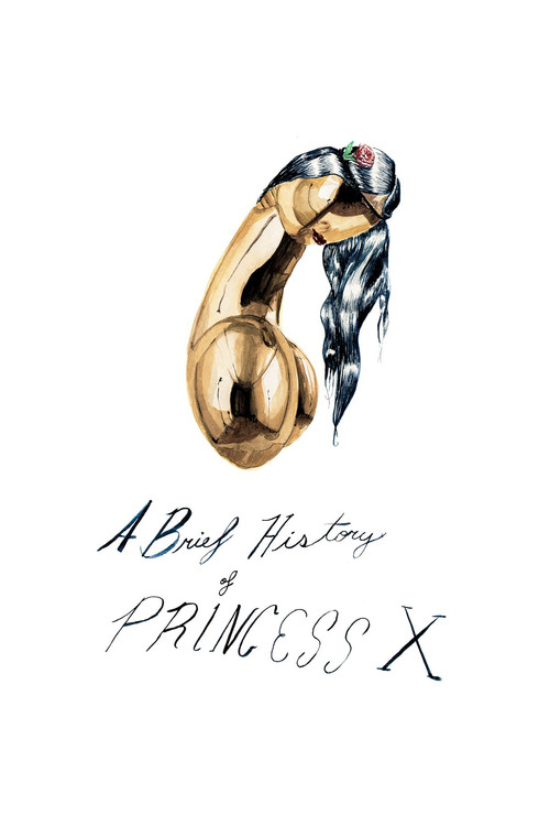 A Brief History of Princess X постер