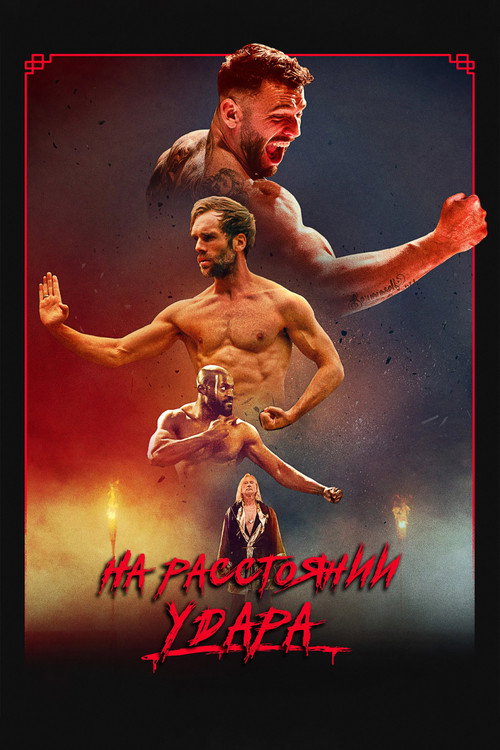 На расстоянии удара постер