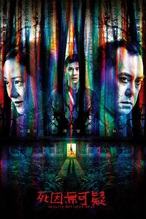 死因無可疑 постер