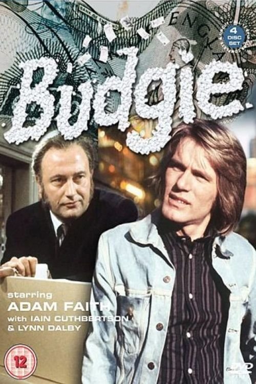 Budgie постер
