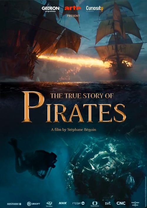 La Véritable histoire des pirates постер