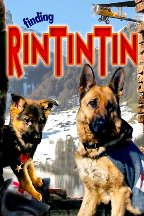 Finding Rin Tin Tin постер