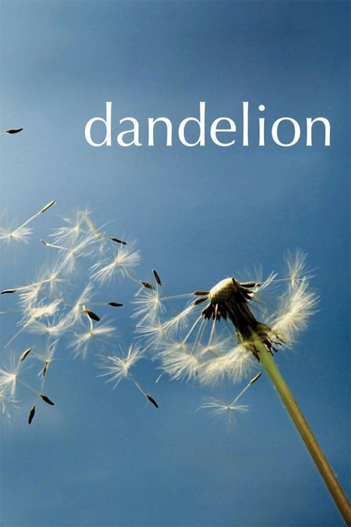 Dandelion постер