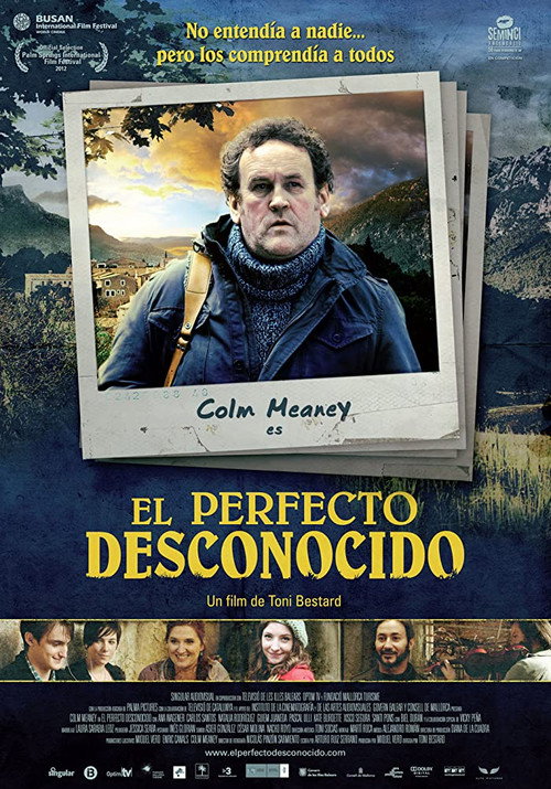 El perfecto desconocido постер