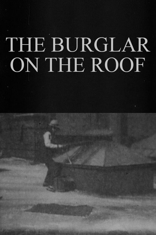 The Burglar on the Roof постер