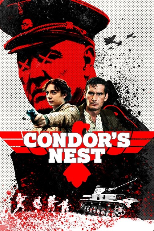 Condor's Nest постер