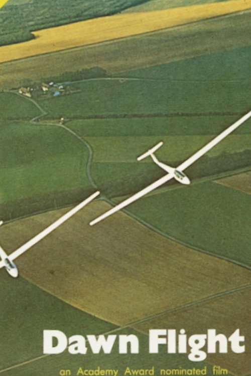 Dawn Flight постер