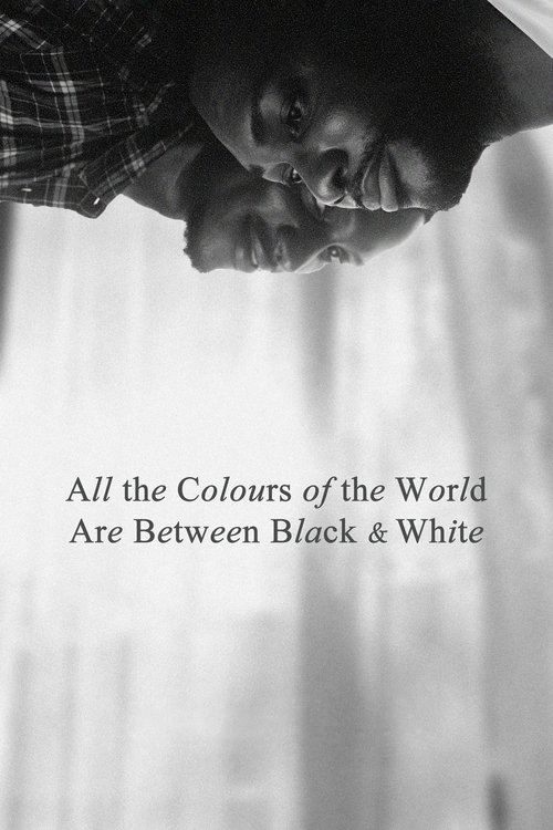 All the Colours of the World Are Between Black and White постер