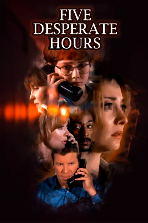Five Desperate Hours постер
