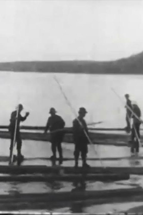 Logging in Maine постер