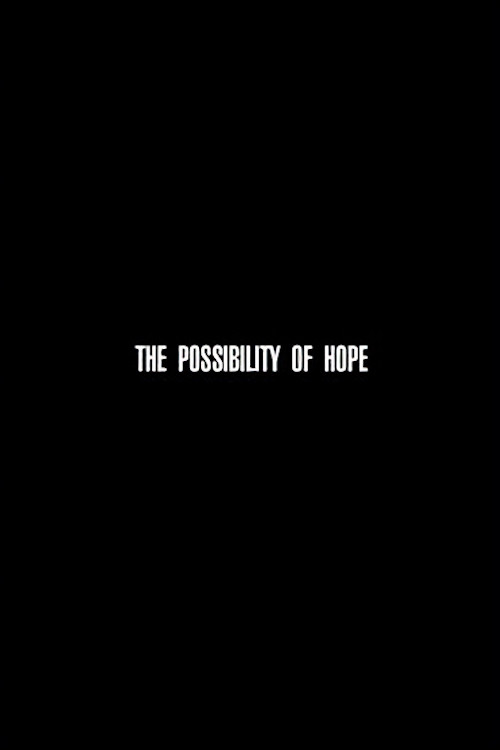 The Possibility of Hope постер