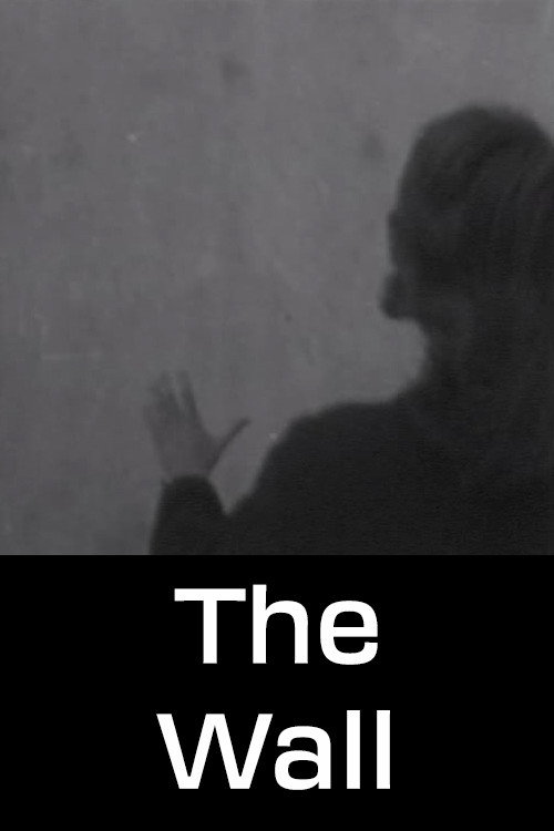 Zid постер