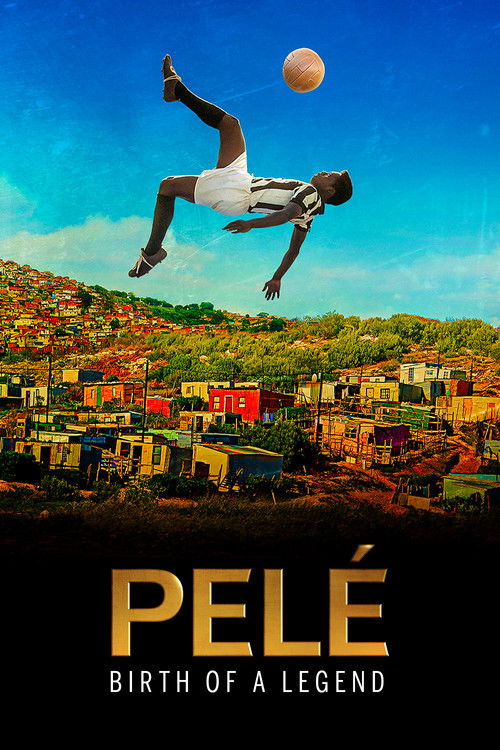 Pelé: Birth of a Legend постер