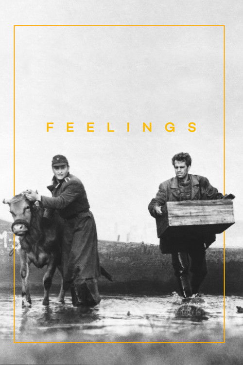 Feelings постер
