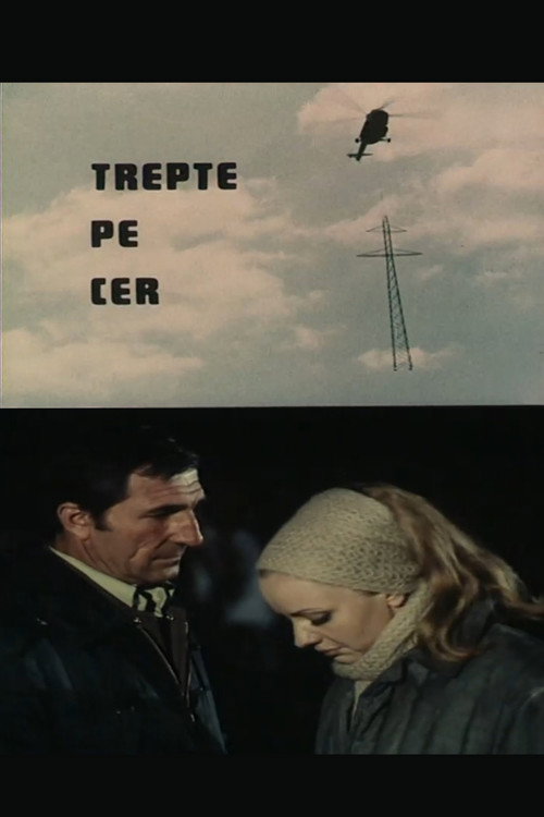 Trepte pe cer постер