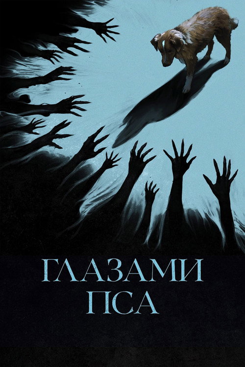 Глазами пса постер