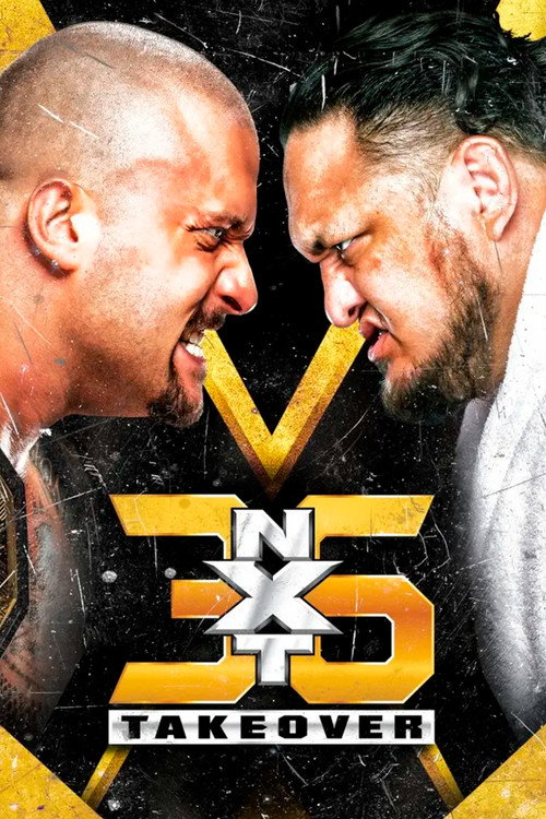 NXT TakeOver 36 постер