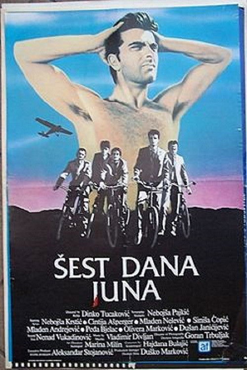 Šest dana juna постер
