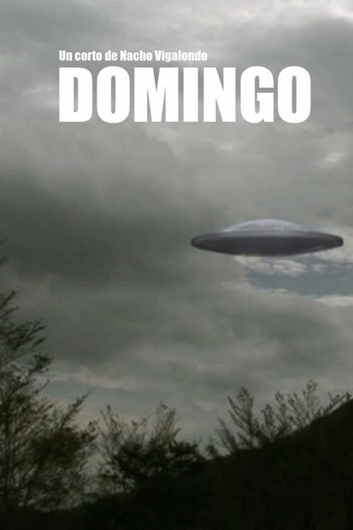 Domingo постер