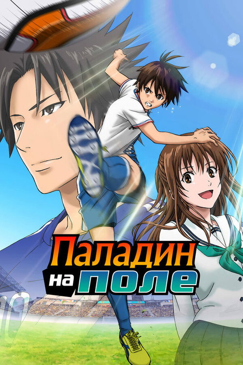 Паладин на поле постер