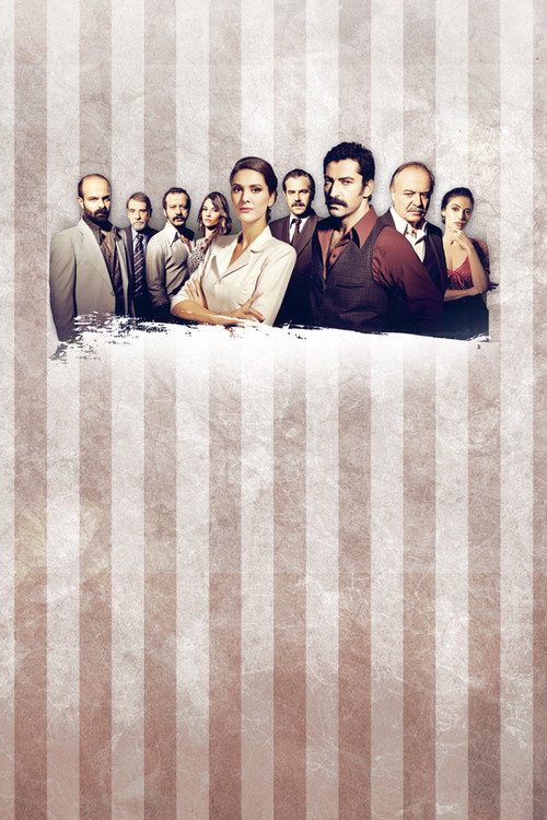 Karadayi постер