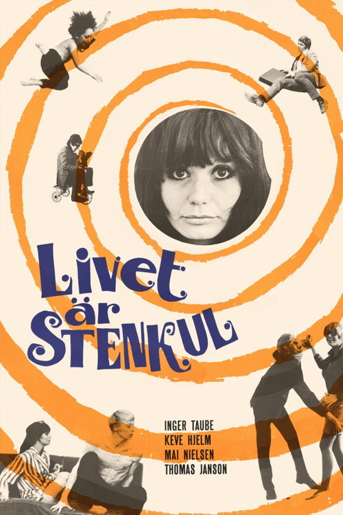 Livet är stenkul постер