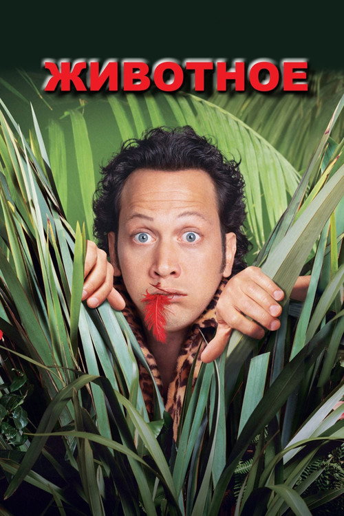 Животное постер
