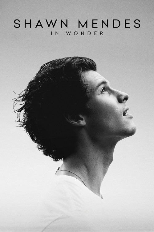 Shawn Mendes: In Wonder постер