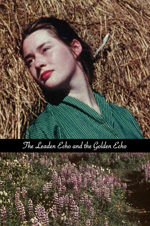 The Leaden Echo and the Golden Echo постер