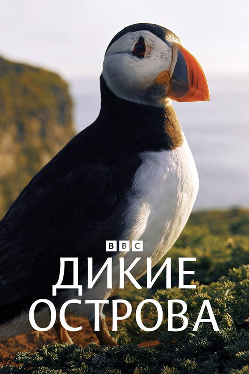 Wild Isles постер