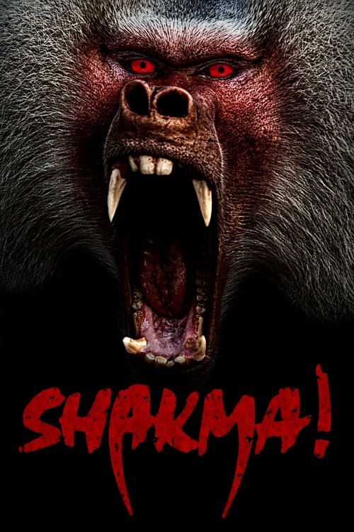Shakma постер
