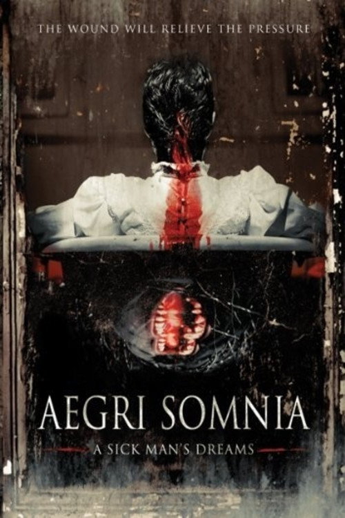 Aegri Somnia постер