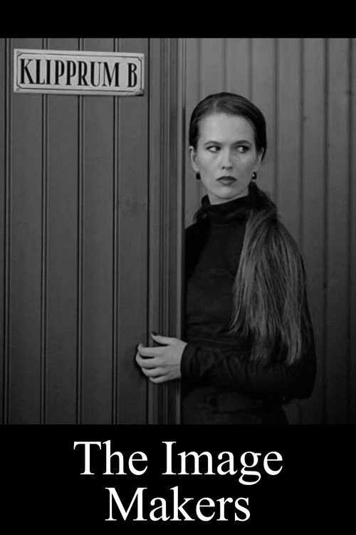 Bildmakarna постер