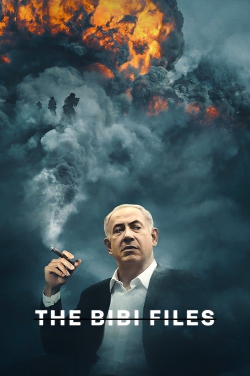 The Bibi Files постер