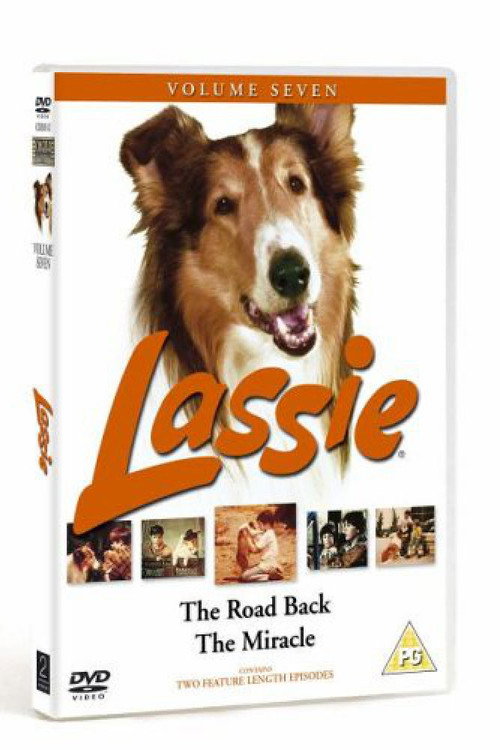 Lassie - The Road Back постер