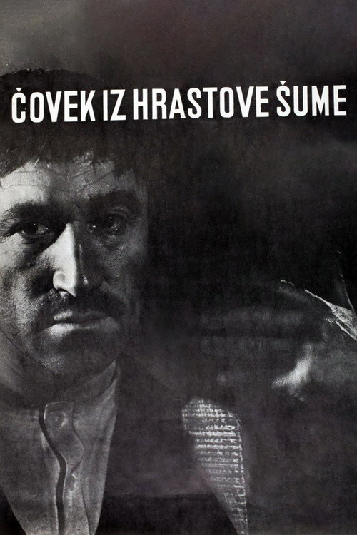 Čovek iz hrastove šume постер