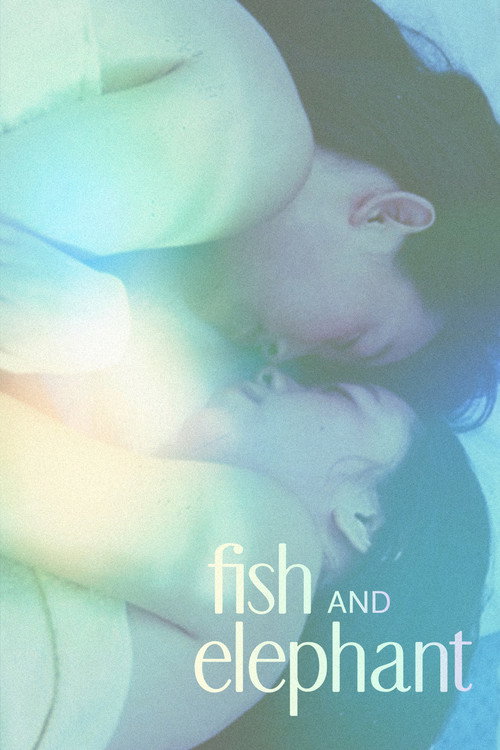 Рыбка и слон постер