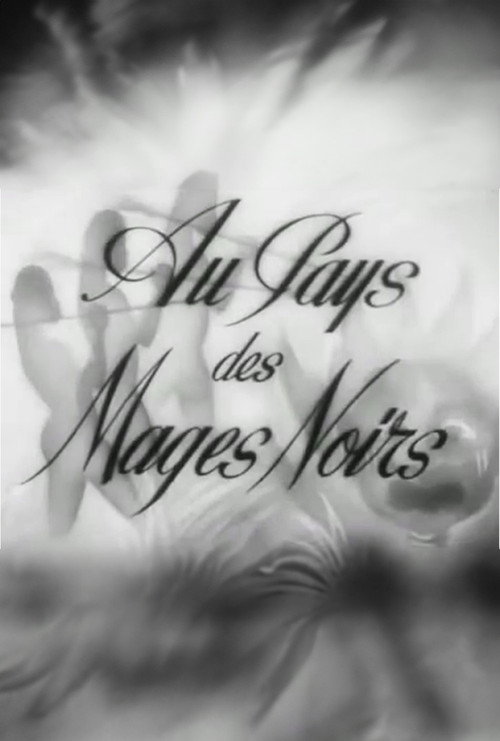 Au pays des mages noirs постер