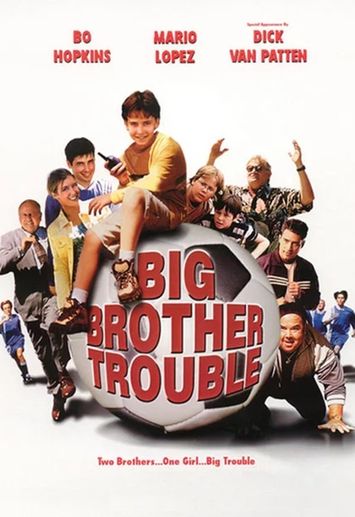 Big Brother Trouble постер