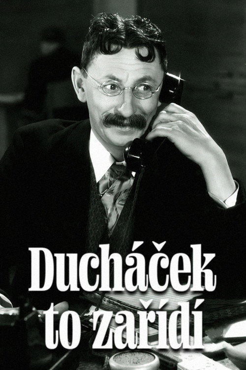 Duchacek Will Fix It постер