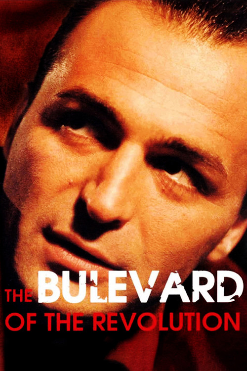 Булевар револуције постер