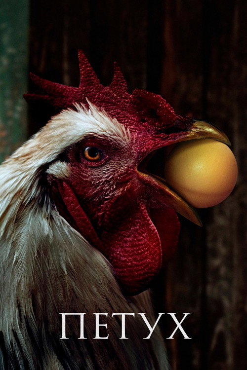 Петух постер