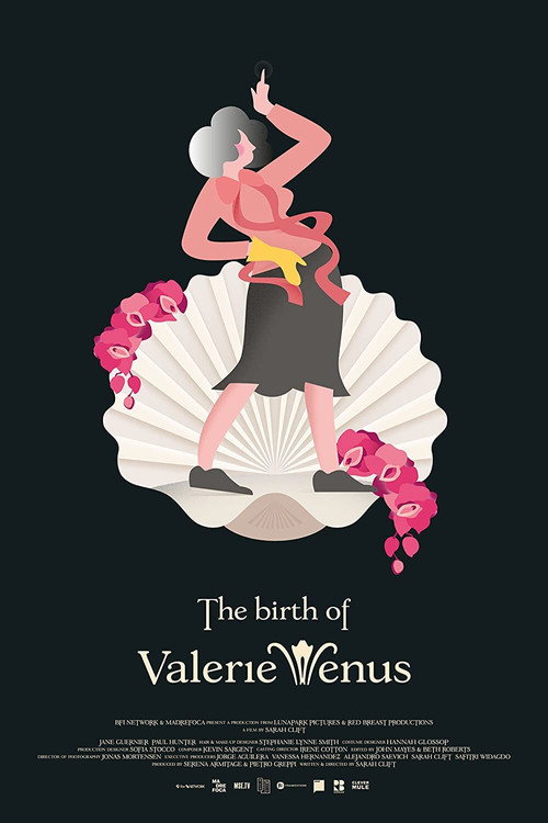 The Birth of Valerie Venus постер