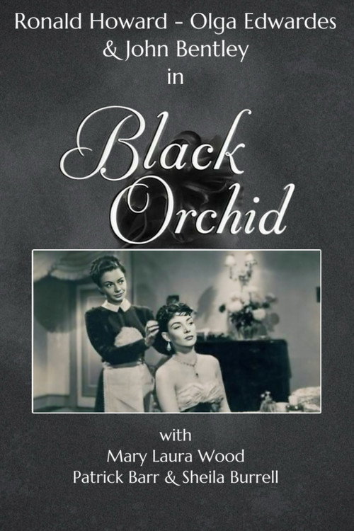 Black Orchid постер